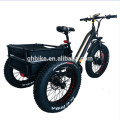 750W Adult 3 Three Wheels Cargo Bike Electric Fat Tricycle